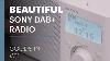Marchandises Dans 31 Sony Xdr S61d Dab Fm Radio Numérique