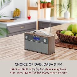 Translate this title in French: Haut-parleur stéréo radio DAB/DAB+ & FM, Radio numérique de style rétro, secteur ou batterie